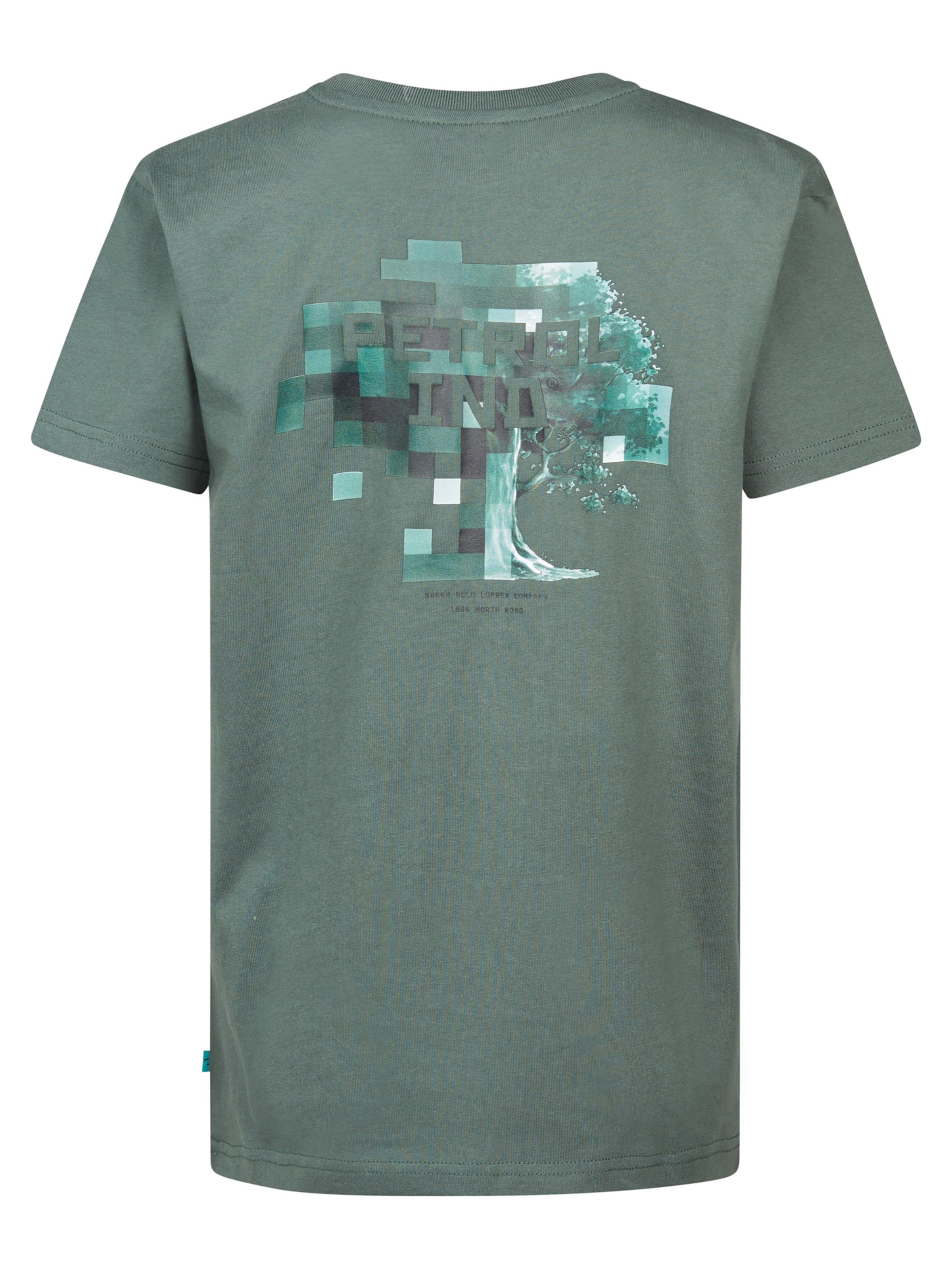 T-Shirt 'Acadia' Petrol Industries en vert