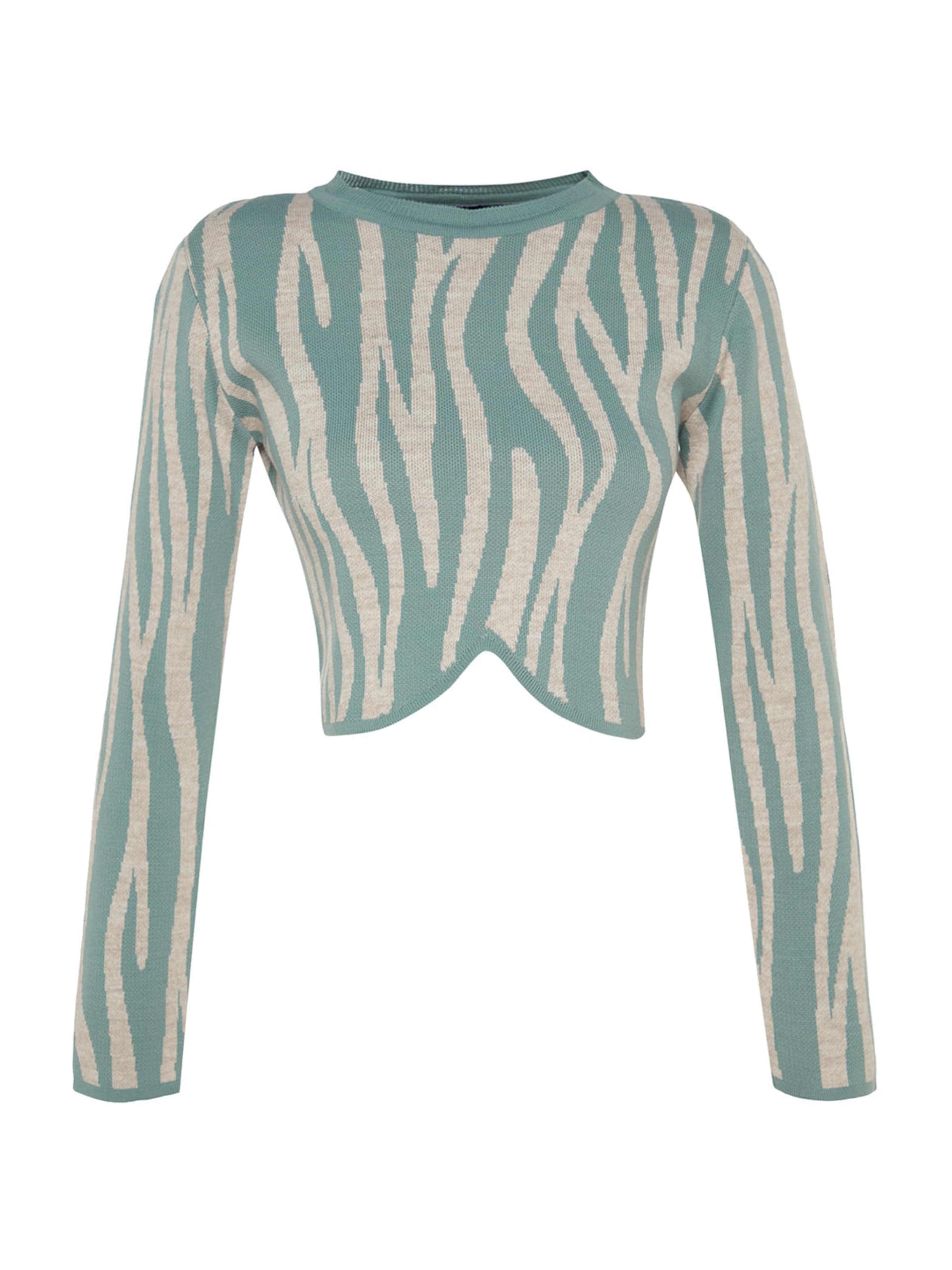 Trendyol Pullover in Grün: Vorderseite