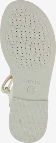 Chaussures ouvertes GEOX en blanc