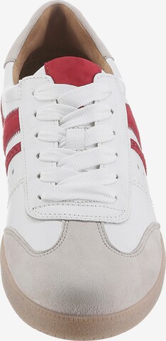 GABOR Sneakers in White