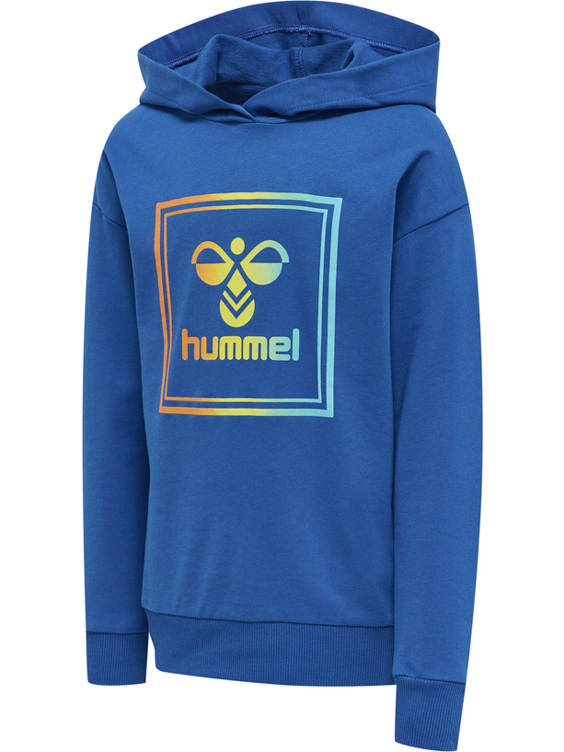 Hummel Sweatshirt 'Leiden' i blå
