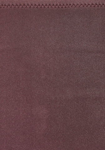 Bruno Banani - Triángulo Bikini en marrón