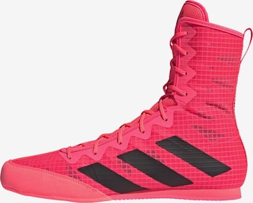 Scarpa sportiva 'Box Hog 4' di ADIDAS PERFORMANCE in rosa: frontale