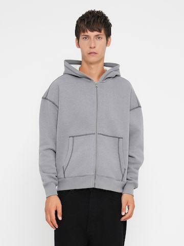 Hanorac de la HOLLISTER pe gri: față