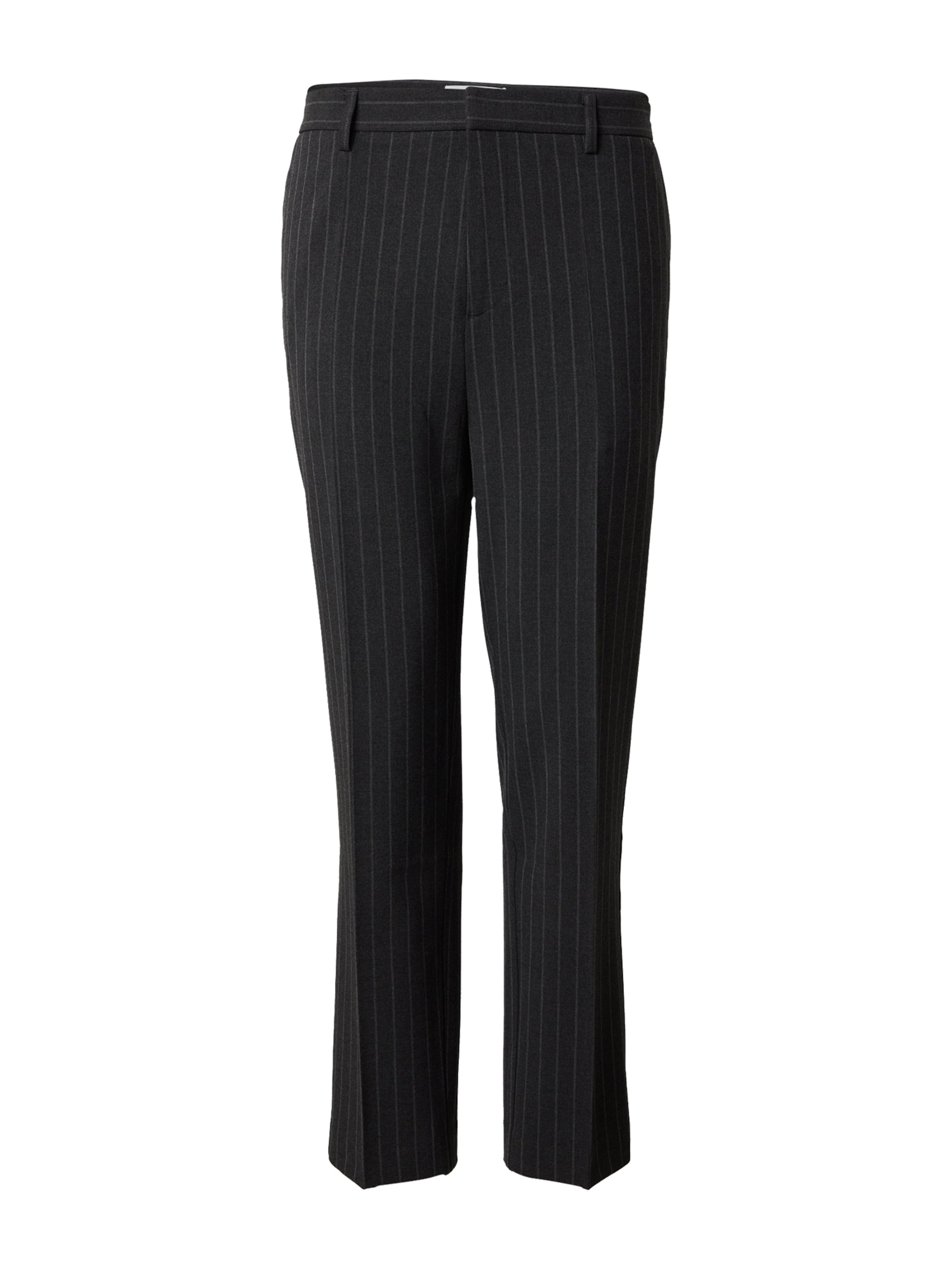 DAN FOX APPAREL Regular Панталон с ръб 'Eduard' в сиво: отпред