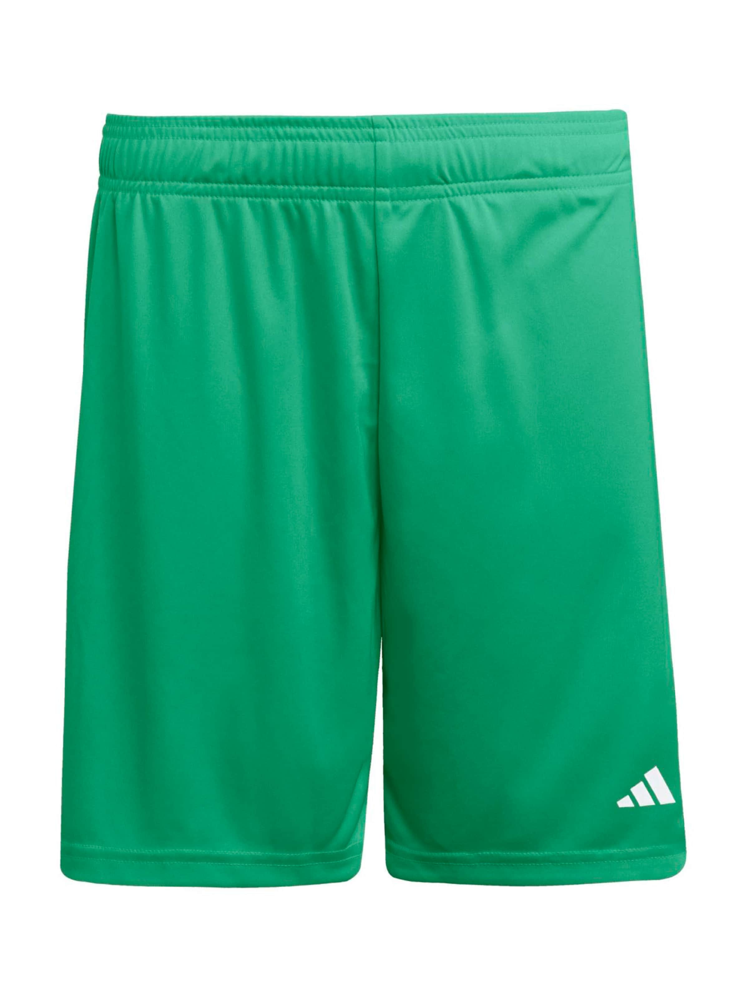 Regular Pantalon de sport 'ENT26' ADIDAS PERFORMANCE en vert : devant