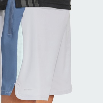 ADIDAS PERFORMANCE Regular Sports trousers in Grey