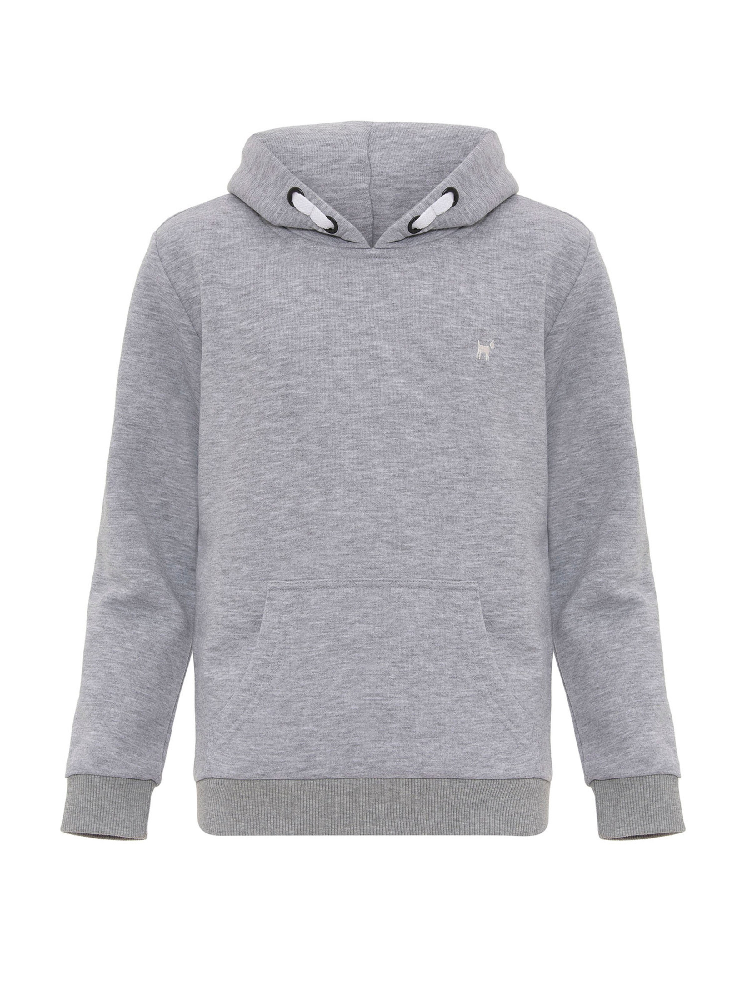 Williot Sweatshirt i grå: framsida