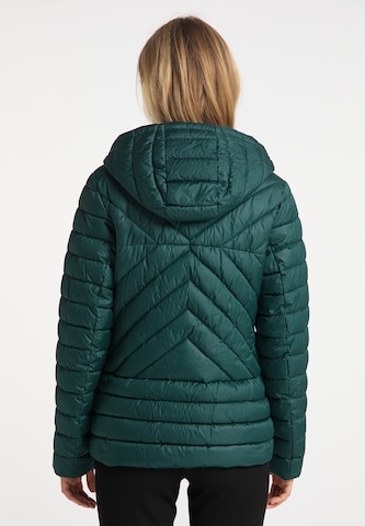 Veste d’hiver DreiMaster Klassik en vert