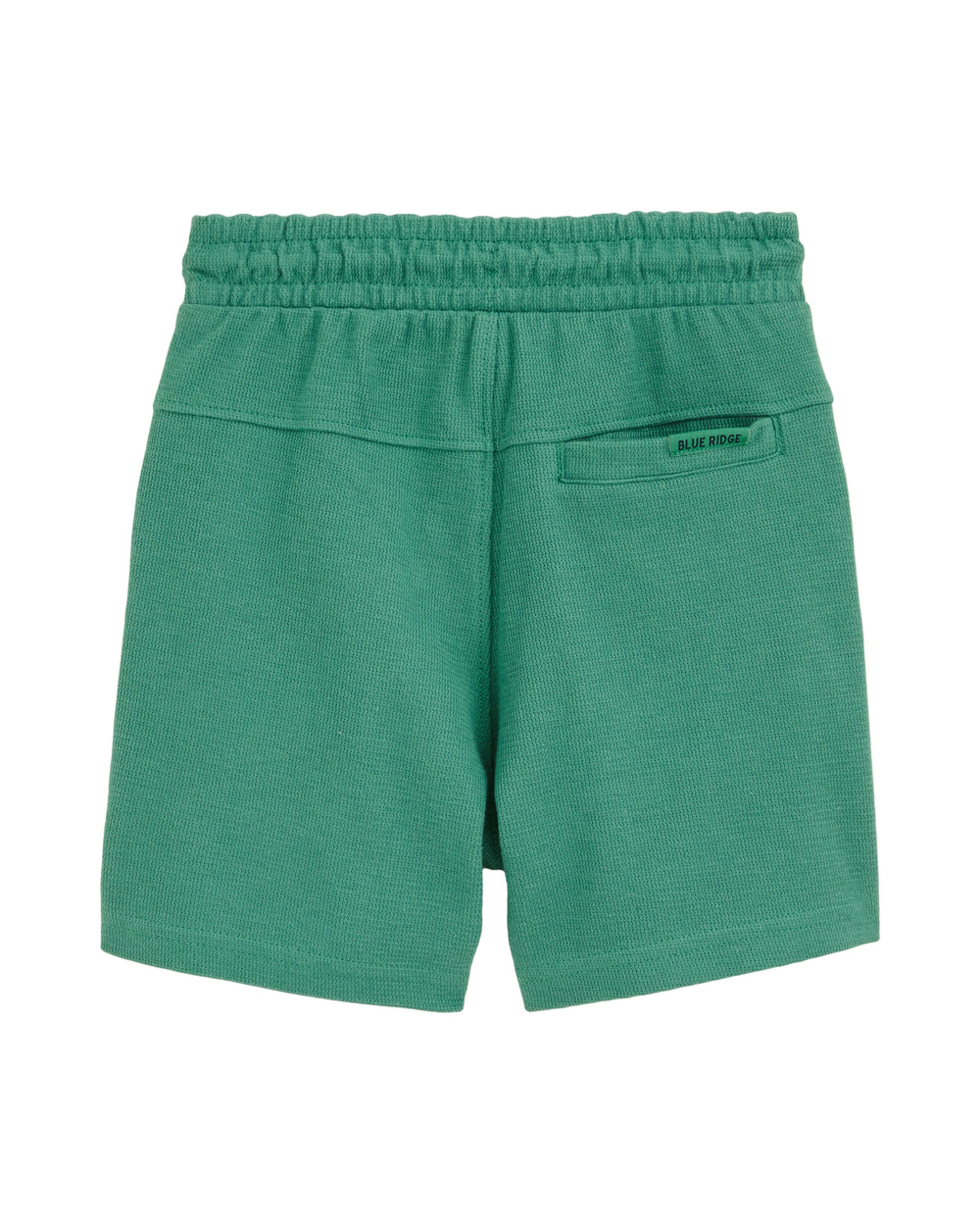 WE Fashion tavaline Püksid, värv roheline