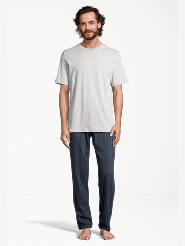 SCHIESSER Short Pajamas 'Night & Home' in Blue