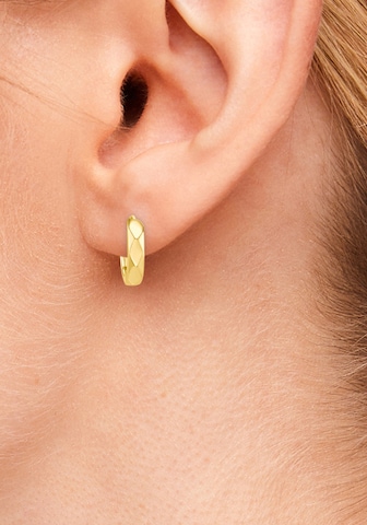 s.Oliver Ohrringe in Gold: Vorderseite