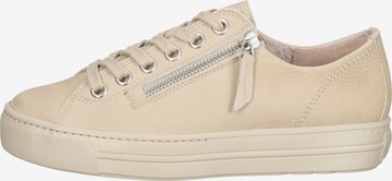 Paul Green Sneakers in Beige