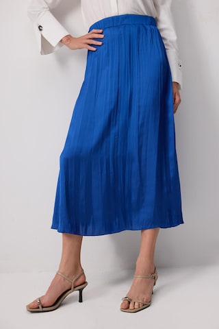 Touche Prive Skirt in Blue: front