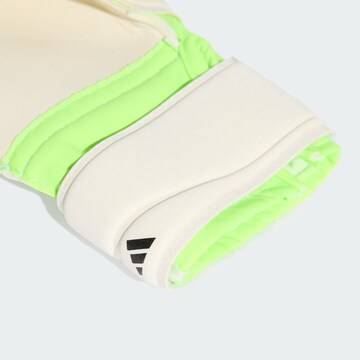 ADIDAS PERFORMANCE Sports gloves 'Predator' in Green
