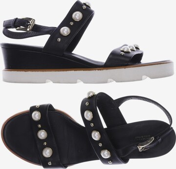 Baldinini Sandals & High-Heeled Sandals in 40 in Black: front