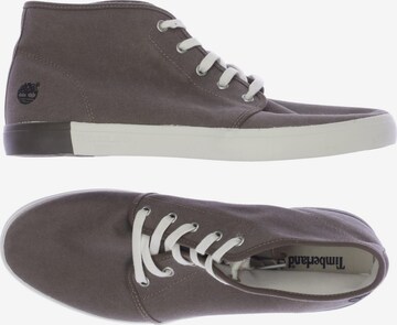 TIMBERLAND Sneaker 45 in Braun: Vorderseite