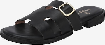 Crickit Strap Sandals ' ODETTE ' in Black: front