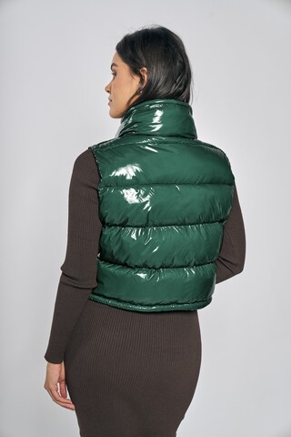 FREAKY NATION Vest in Green