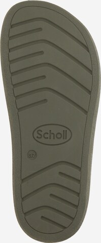 SCHOLL Kapcie 'IVY' w kolorze zielony