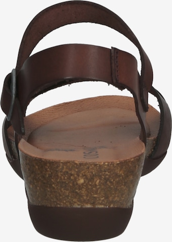 Sandales à lanières COSMOS COMFORT en marron