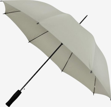 Parapluie Maxte en gris : devant