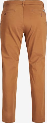 JACK & JONES Normální Chino kalhoty 'Ollie' – hnědá