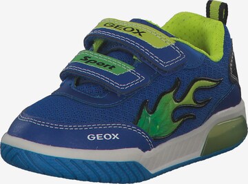 GEOX Sneakers 'Inek' in Blue: front