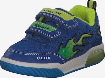 GEOX Sneaker 'Inek' in Blau: predná strana