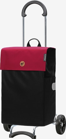Valisette Andersen Shopper en rouge : devant