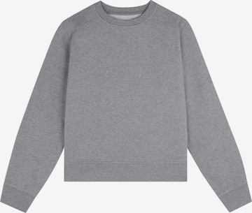 ScalpersSweater majica 'Nos Basic Fade' - siva boja: prednji dio