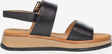 GABOR Strap Sandals in Black