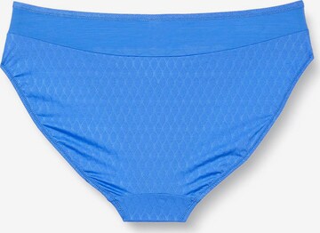 TRIUMPH Panty in Blue