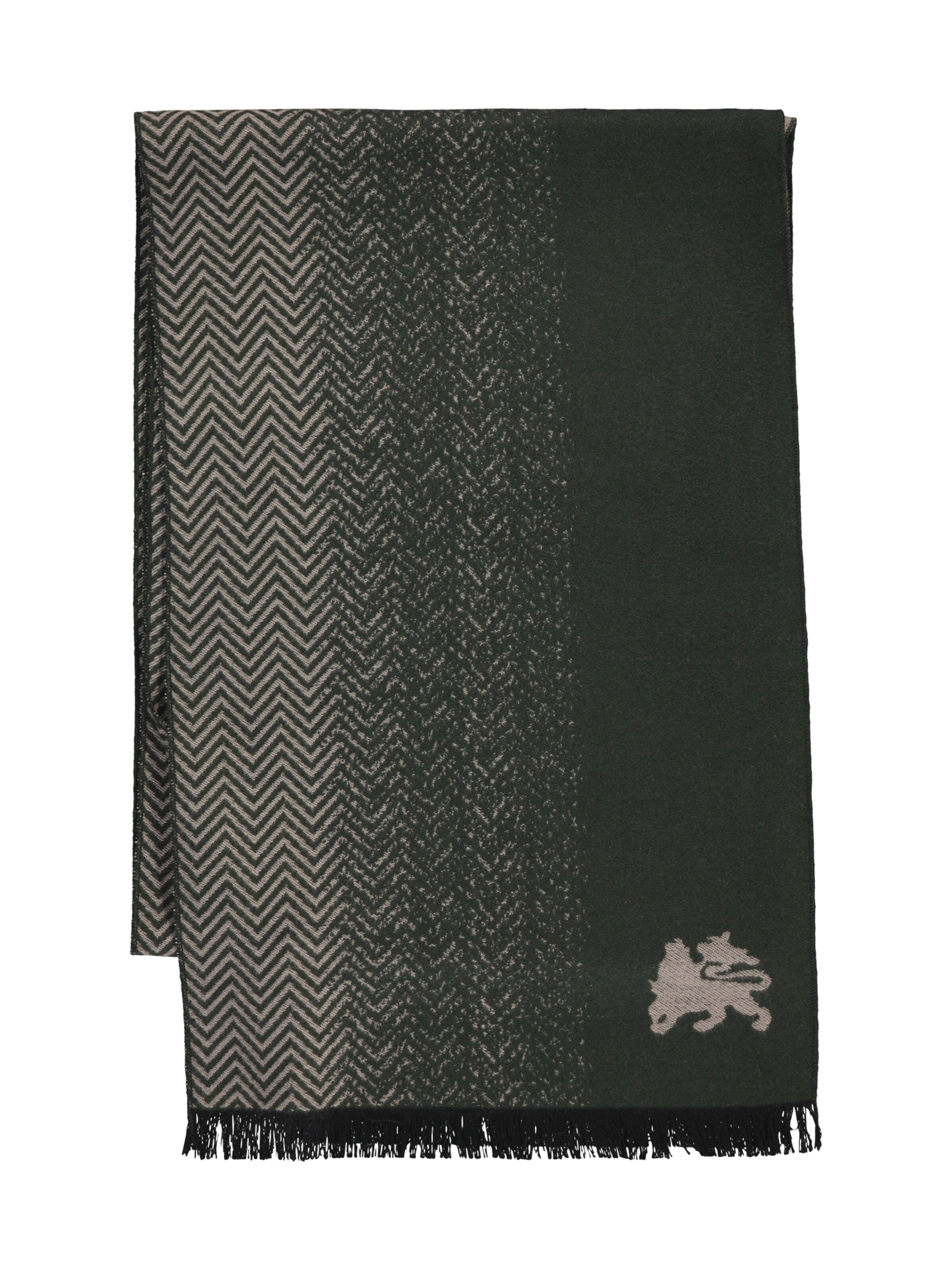 LERROS Schal in Grün