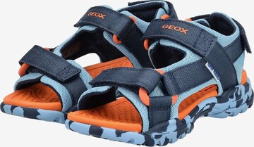 GEOX Offene Schuhe in Blau