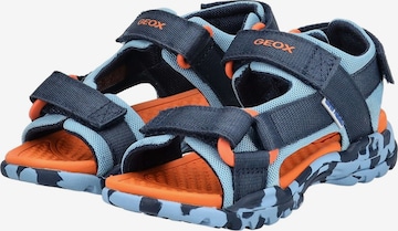 GEOX Sandals & Slippers in Blue