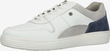 HUSH PUPPIES Veterschoen in Wit: voorkant