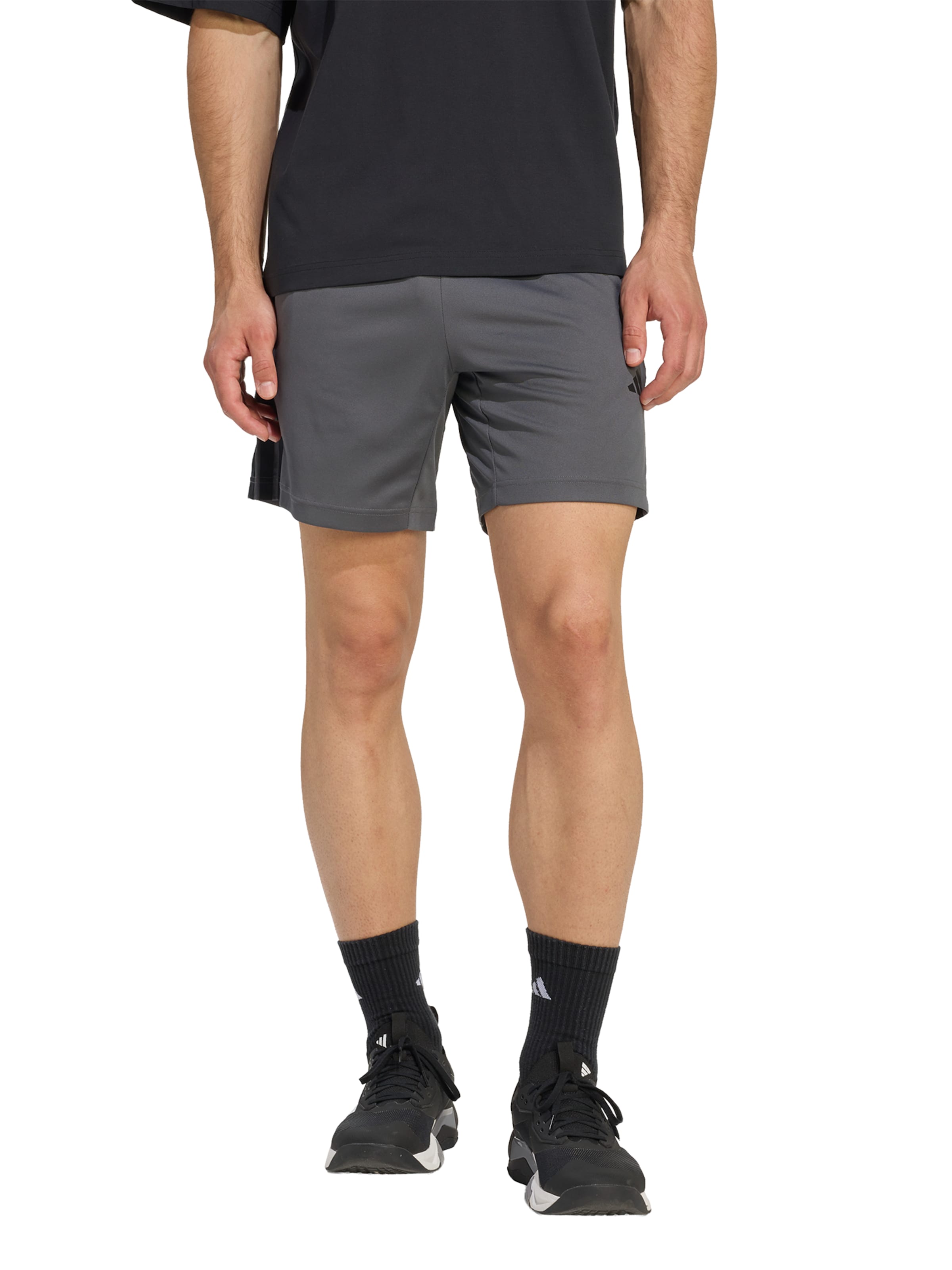 ADIDAS PERFORMANCE Regularen Športne hlače 'WE BAS 3SPQ' | siva barva: sprednja stran