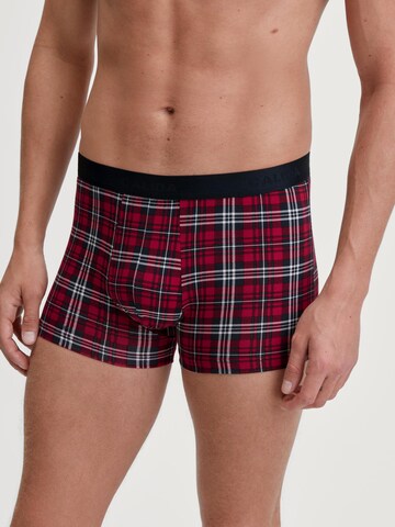 CALIDA Boxershorts 'Family & Friends' in Rot