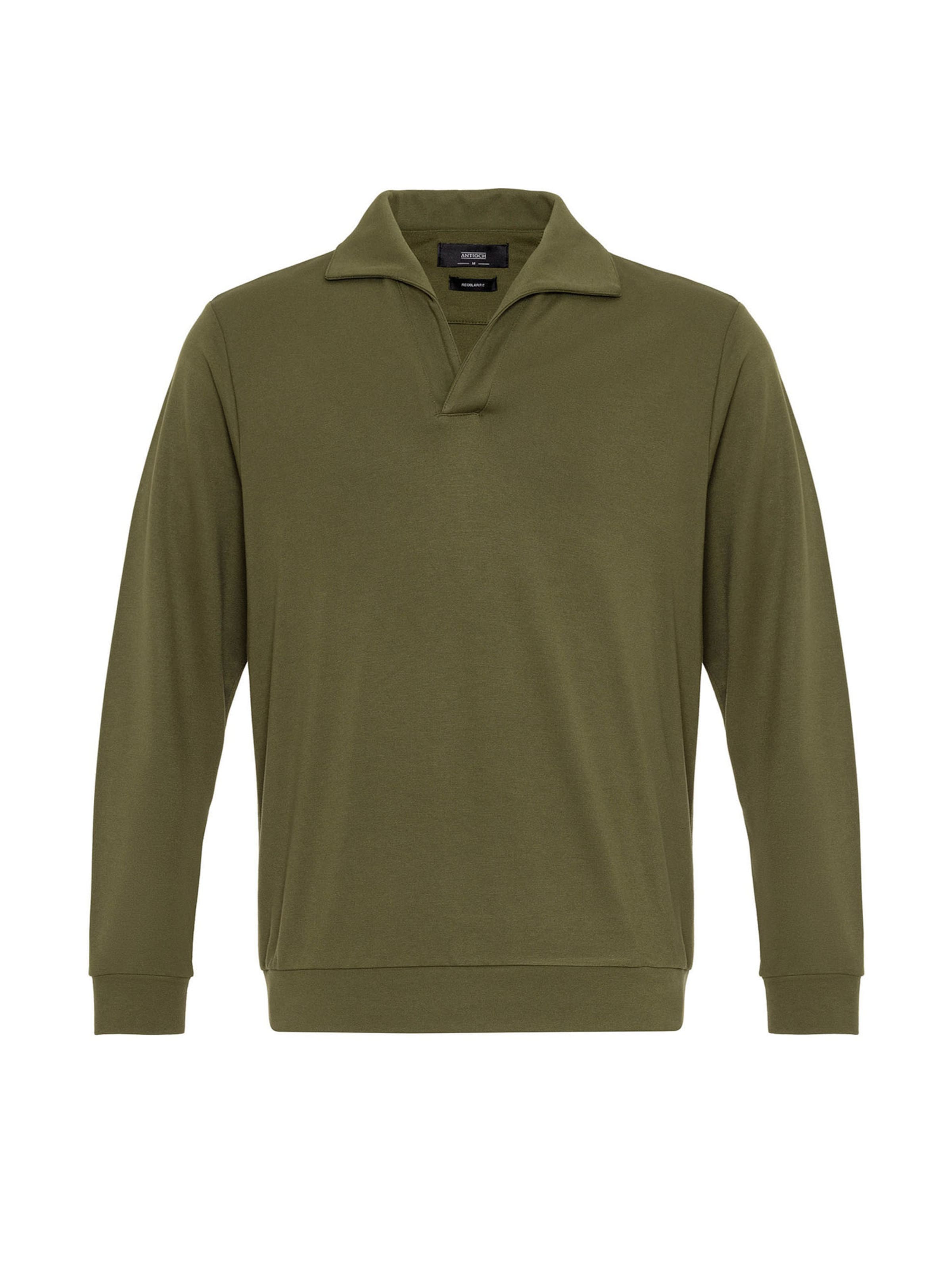 Antioch Sweatshirt 'Turndown' i grön: framsida