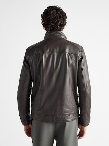 JCC Tussenjas in Bruin