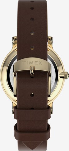 Montre à affichage analogique 'Transcend' TIMEX en marron