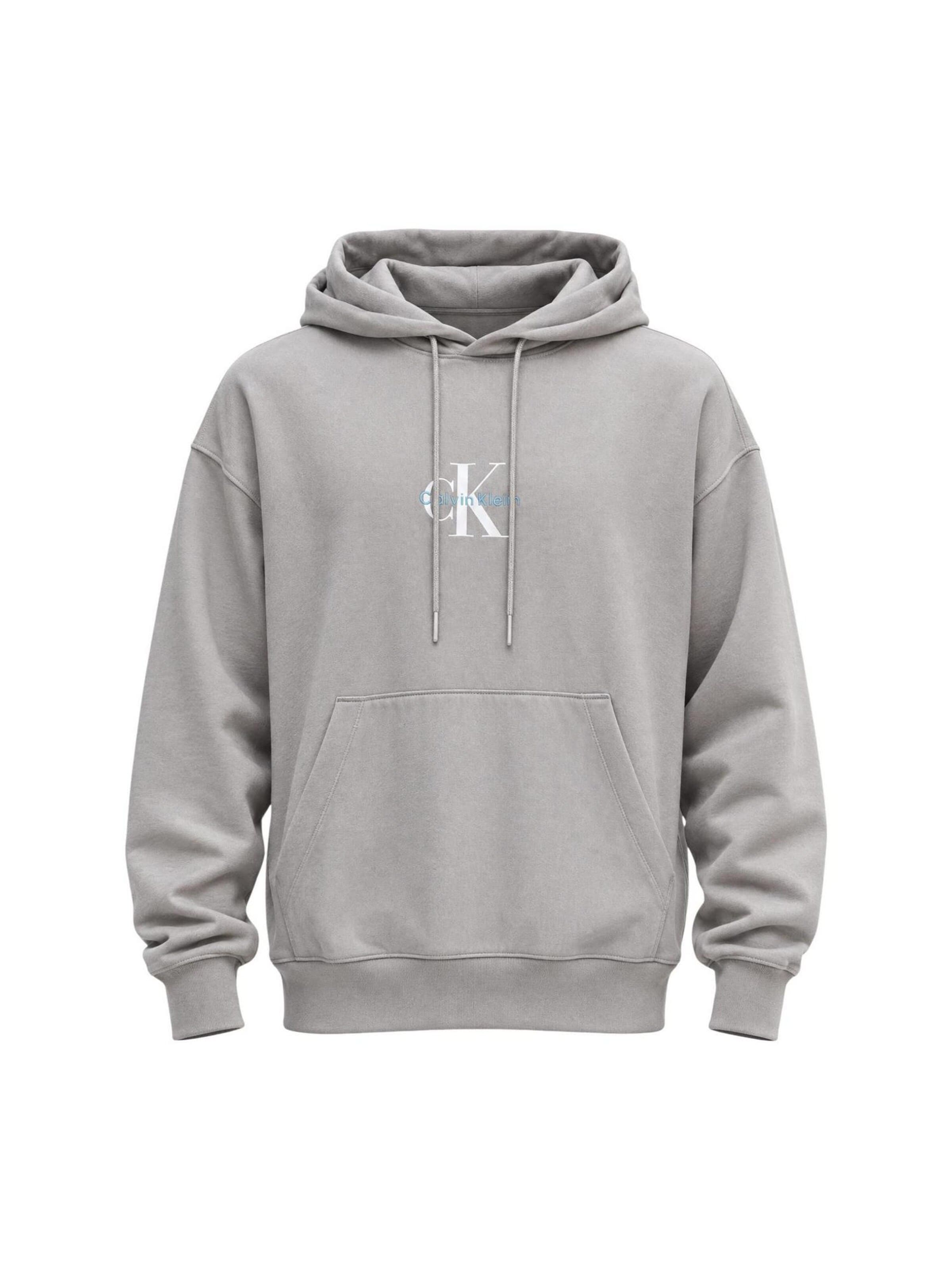 Calvin Klein Jeans Sweatshirt 'LV04RC281G' in Grijs: voorkant