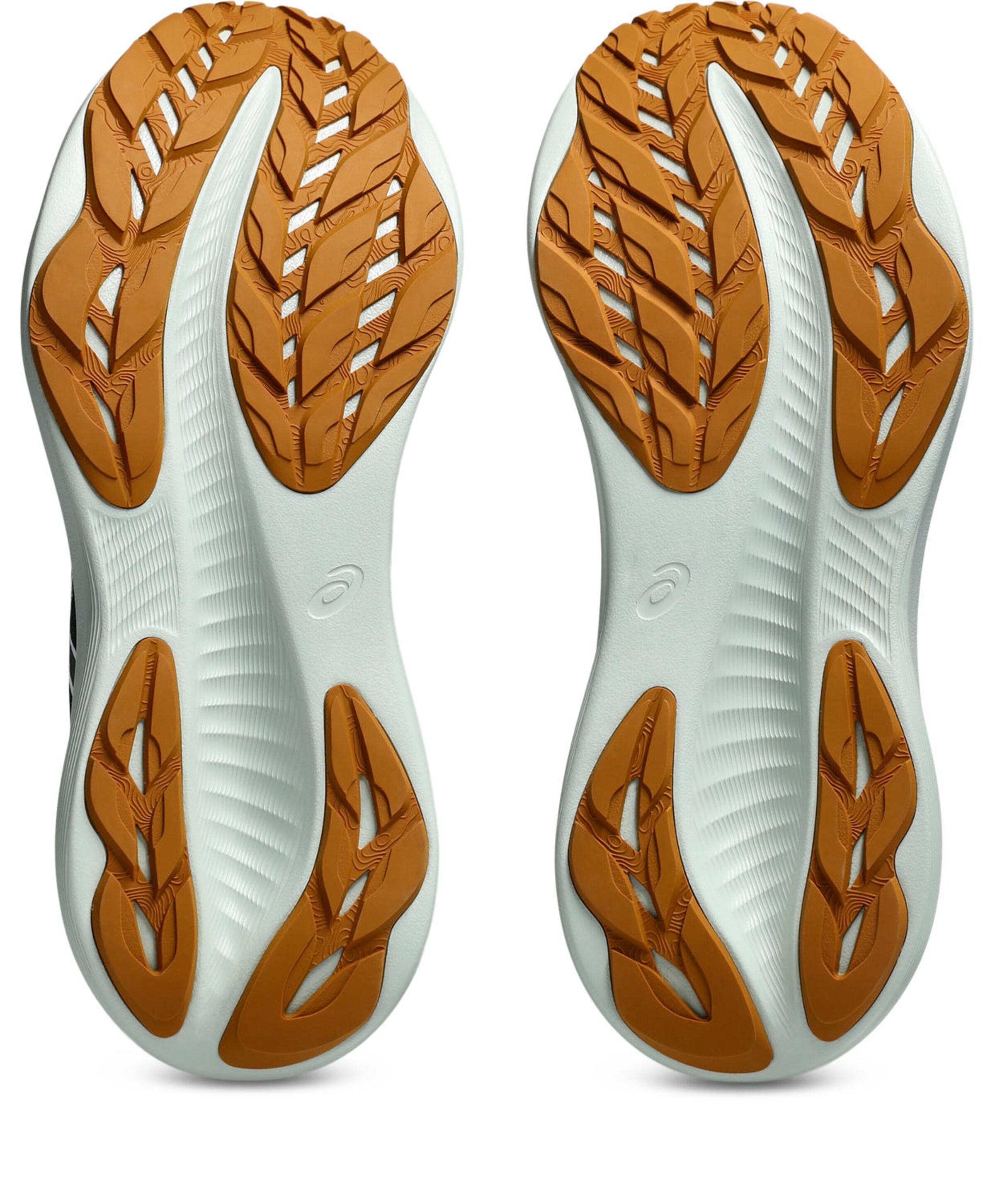 ASICS Laufschuh in Schwarz