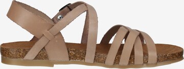 COSMOS COMFORT Sandalen met riem in Beige