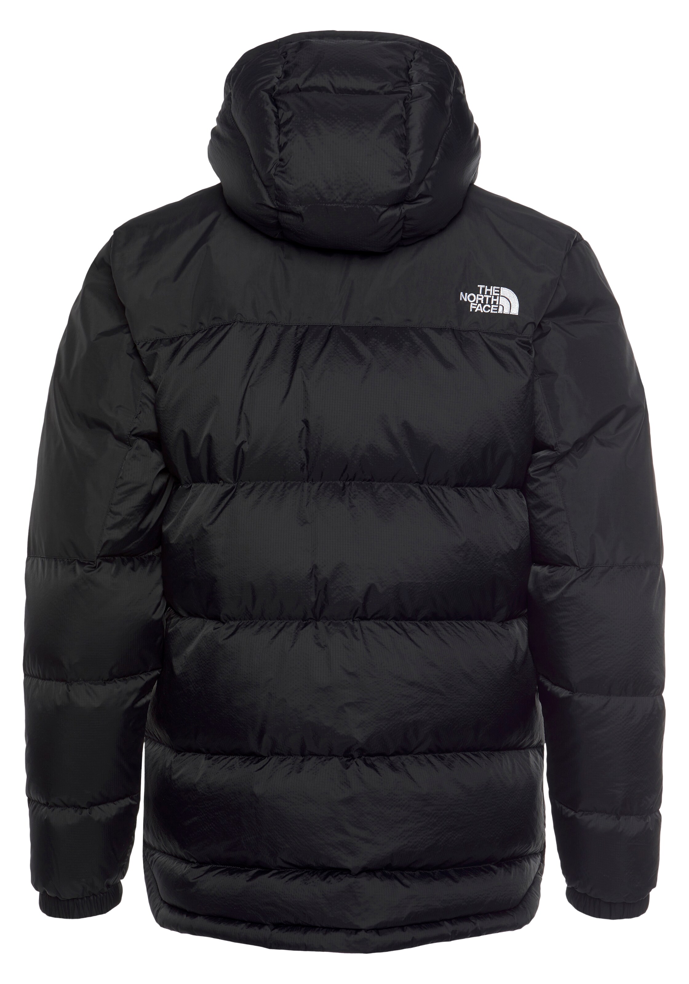 THE NORTH FACE Regular Fit Udendørsjakke 'Diablo' i sort