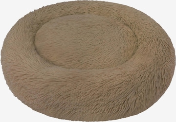 Accessoires pour animaux 'Tornio' Aspero en marron : devant