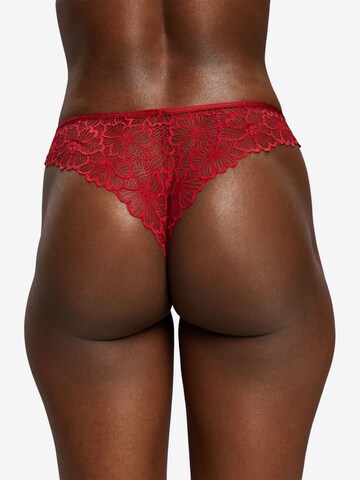 ESPRIT Panty in Red