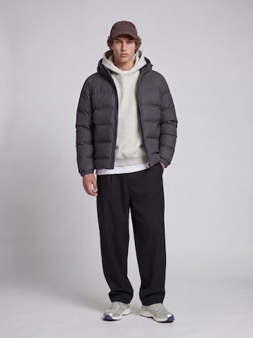 aprel - Chaqueta de entretiempo en gris