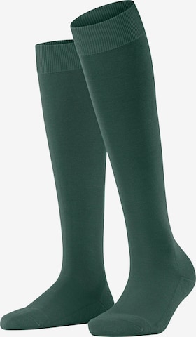 FALKE Knee High Socks 'ClimaWool' in Green: front
